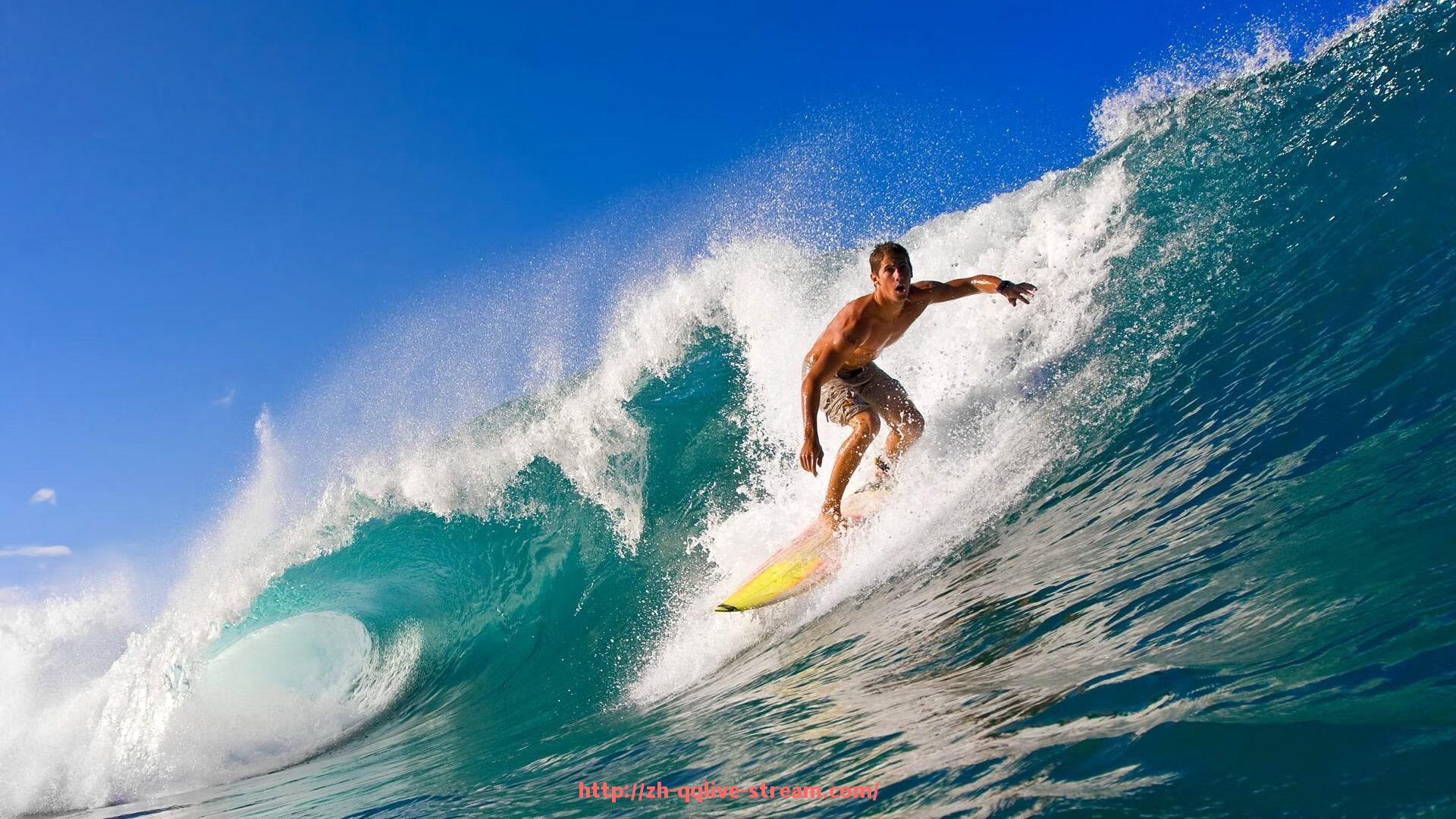 企鹅直播-各种健身器材英文：健身器材的英文名称及其解释