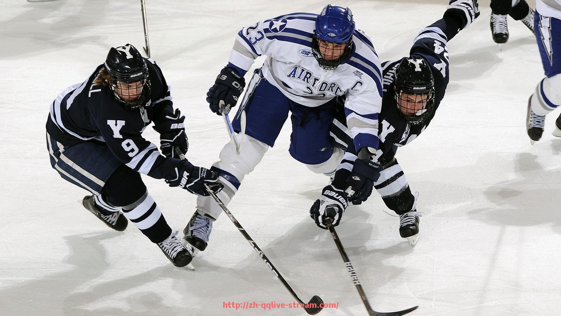 企鹅直播-如何开设一个小型健身器材店助力体育运动普及策略